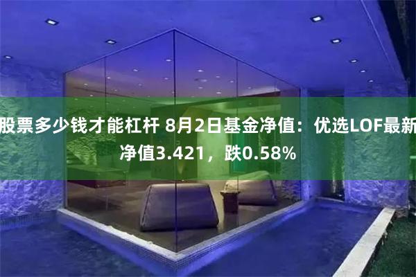 股票多少钱才能杠杆 8月2日基金净值：优选LOF最新净值3.421，跌0.58%