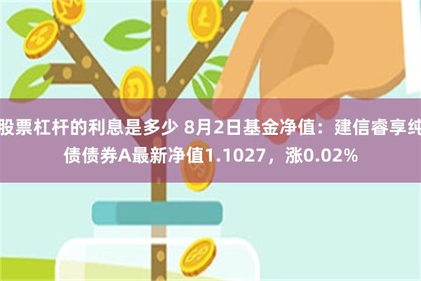 股票杠杆的利息是多少 8月2日基金净值：建信睿享纯债债券A最新净值1.1027，涨0.02%