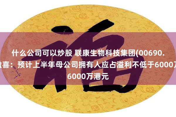 什么公司可以炒股 联康生物科技集团(00690.HK)盈喜：预计上半年母公司拥有人应占溢利不低于6000万港元