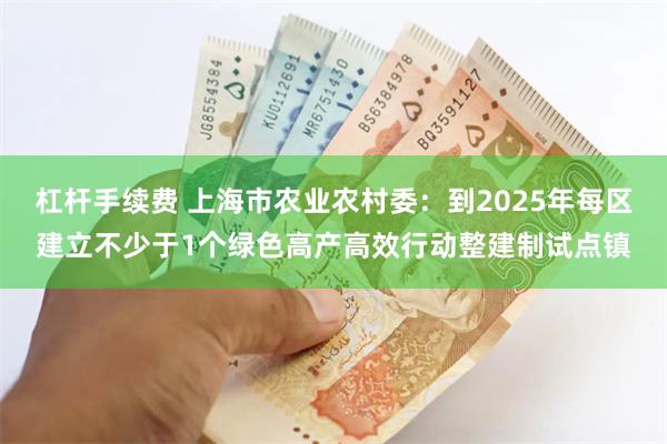 杠杆手续费 上海市农业农村委：到2025年每区建立不少于1个绿色高产高效行动整建制试点镇