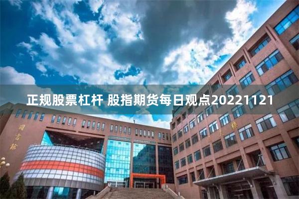 正规股票杠杆 股指期货每日观点20221121