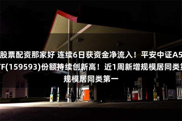 股票配资那家好 连续6日获资金净流入！平安中证A50ETF(159593)份额持续创新高！近1周新增规模居同类第一