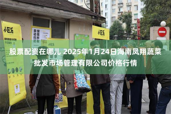 股票配资在哪儿 2025年1月24日海南凤翔蔬菜批发市场管理有限公司价格行情