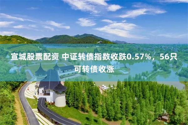 宣城股票配资 中证转债指数收跌0.57%，56只可转债收涨